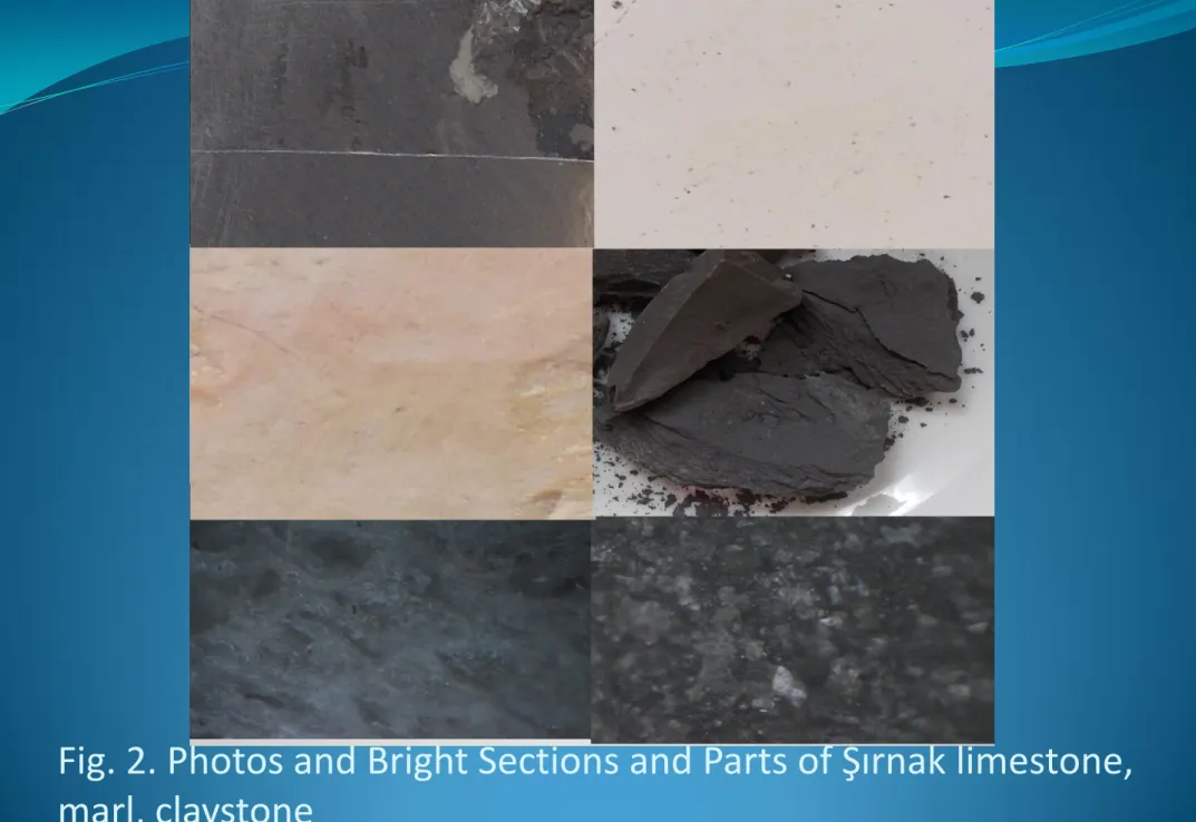 Fig. 2. Photos and Bright Sections and Parts of Şırnak limestone,  marl, claystone  