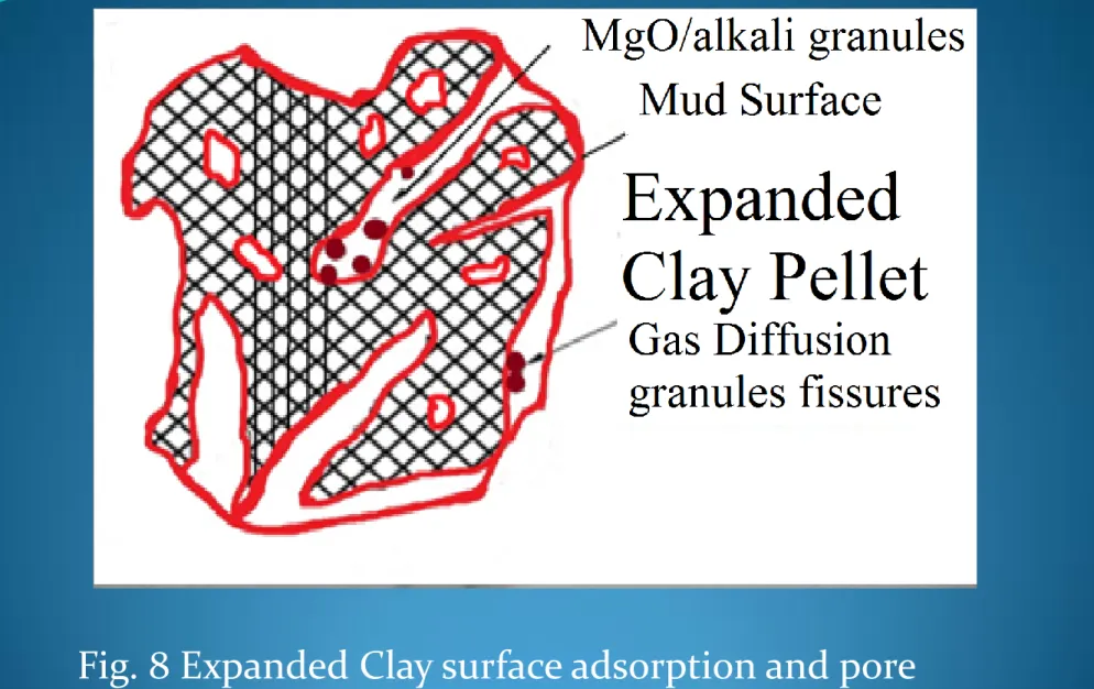 Fig. 8 Expanded Clay surface adsorption and pore  entrapment. 