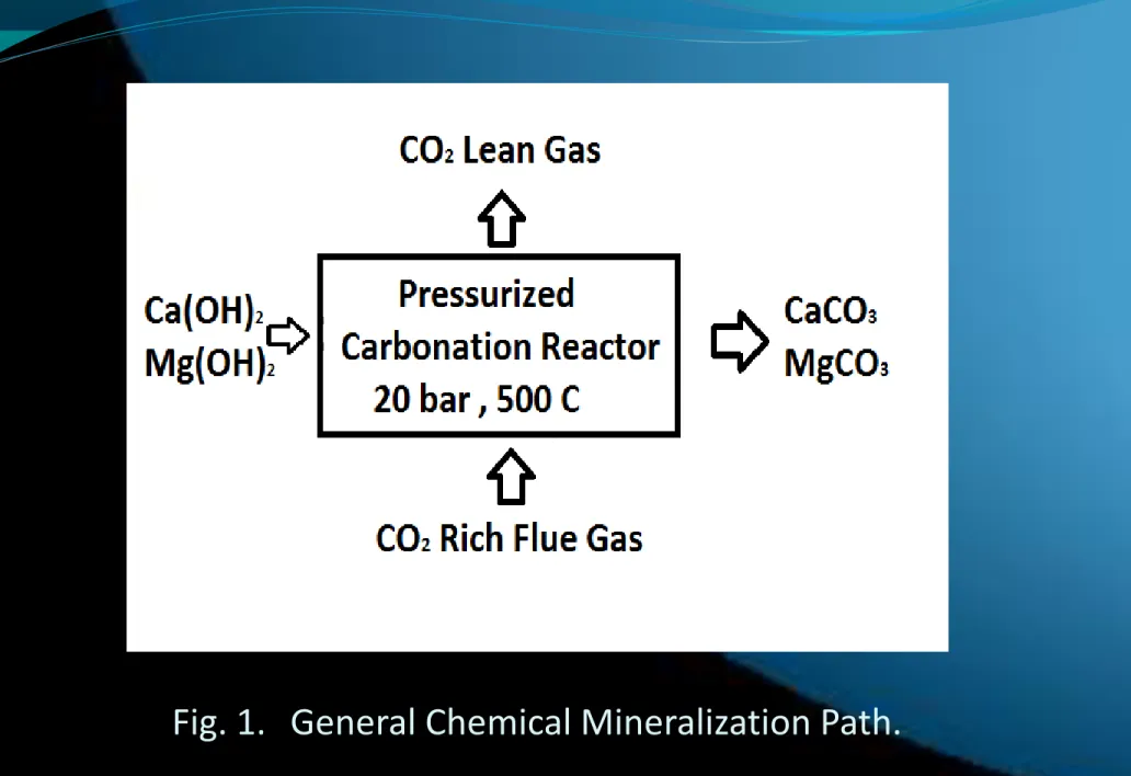 Fig. 1.   General Chemical Mineralization Path.    