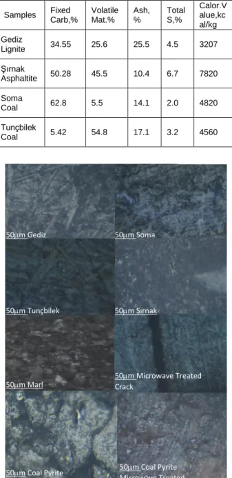 Figure  1,  The  Lignites,  Sirnak  marl,  coal  and  Shale  with  micro  and  polished  Sections  2min  effect  Microwave,  Micro  limestone  marl,  shale  cracks  Photography   50m Coal Pyrite  Microwave Treated 50m Coal Pyrite  50m Microwave Treated 