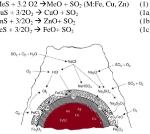 Figure 2. The Chemical reactions of the pyrite particles   used in Experiment 