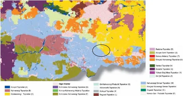 Şekil 4. Türkiye Doğu ve Güneydoğu Anadolu Toprak Örtü Dağılımı 