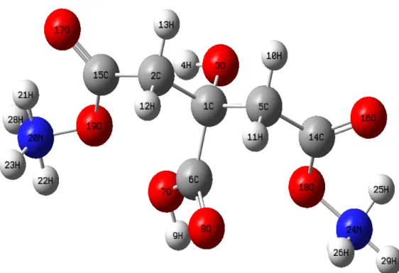 Figure 1. Optimized molecular structure of diammonium hydrogen citrate molecule.