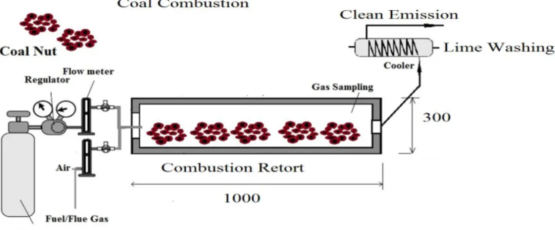 Figure 6. Scanning electron microscopy of expanded clay bed soaked with  carbonized biomass