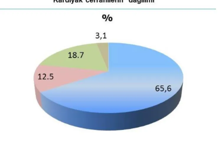 Tablo  1:  SBİE  gelişen  kardiyak  cerrahi  hastalarının  operatif ve demografik özellikleri