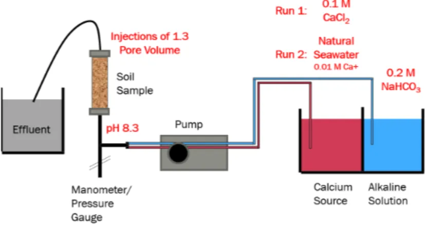 Figure 1. Setup of the experiment in the lab