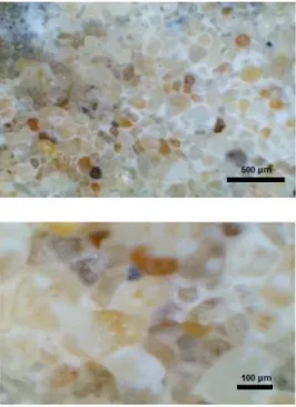 Figure 3. Opticalmicroscopic scanning of samples from Test No. 1 at injection surface after termination of the experiment