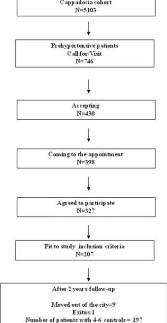 Fig. 1 Patient selection ﬂow chart for the study