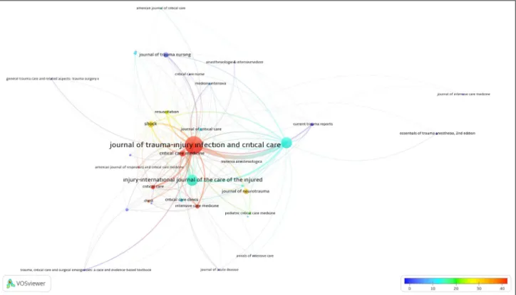 Figure 5. Clustering network visualization map for keyword analysis used in articles on trauma in critical care