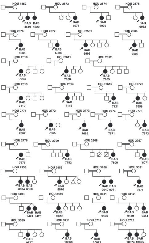 Figure 1. Pedigrees for all families studied by ES. Filled shapes represent affected individuals