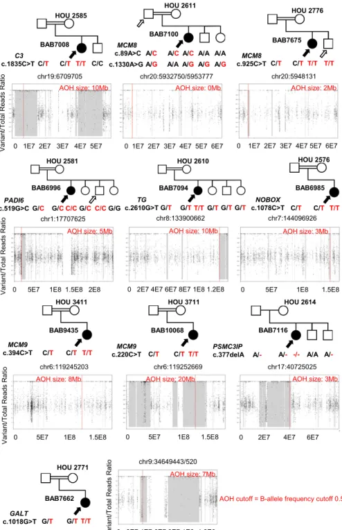 Figure 2. Pedigrees and segregation of identified variants for families in which candidate and previously described variants were found in known disease genes