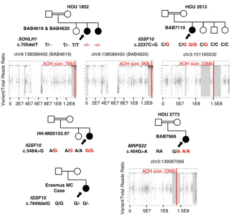 Figure 3. Pedigrees and segregation of identified variants for families in which variants were found in candidate disease genes