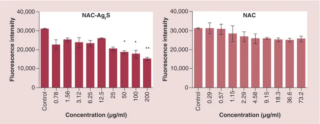 Figure 6. Reactive oxygen species downregulation by N-acetyl-L-cysteine-coated Ag 2 S quantum dots and