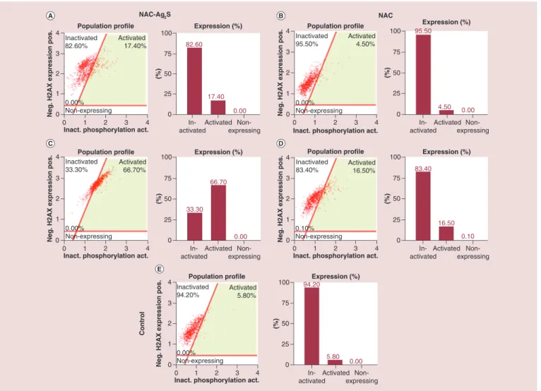 Figure 7. The γH2A.X levels in MCF-7 cells treated with NAC-Ag 2 S quantum dots and NAC measured by flow cytometry 48 h after treatment