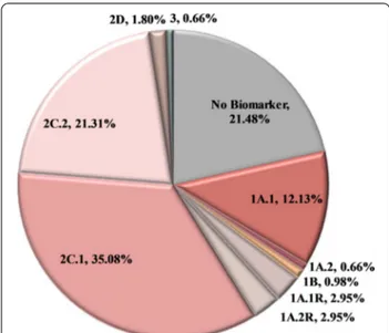 Fig. 4  The Top 20 most frequently altered genes in the cohort analyzed