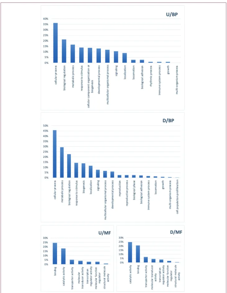 Figure 1. PANTHER enrichment results of all datasetsincluding top 100 upregulated and downregulated genes