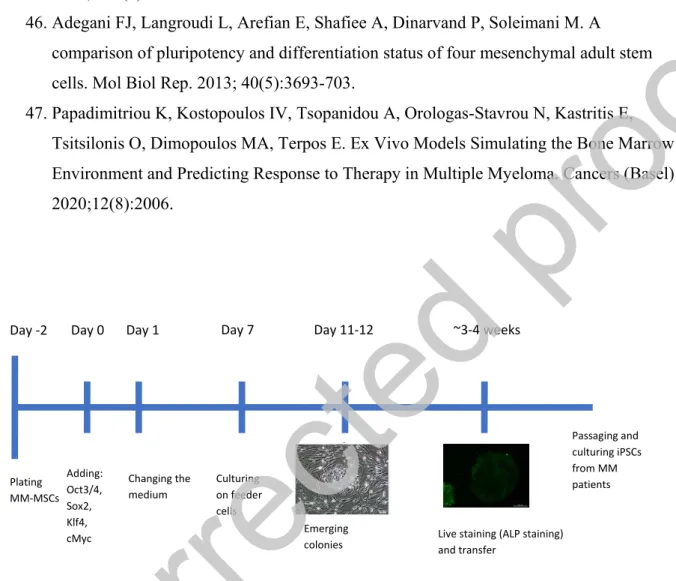 Figure 1: Experiment timeline for reprogramming experiment for MM-MSCs. 