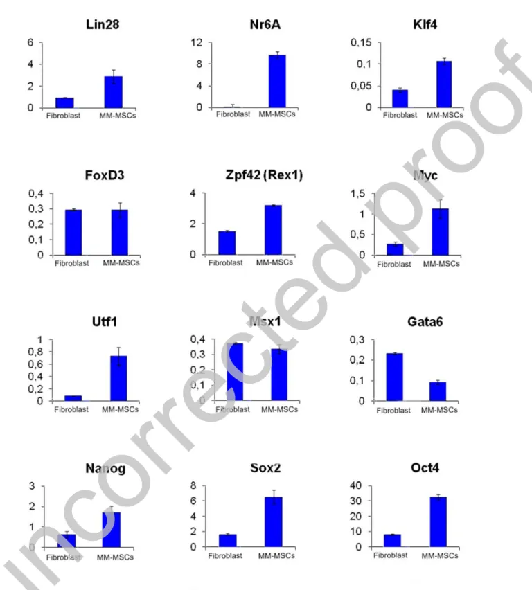 Figure 8: Measuring the expression of pluripotent genes by Real-Time PCR. HPRT gene was  used as reference gene