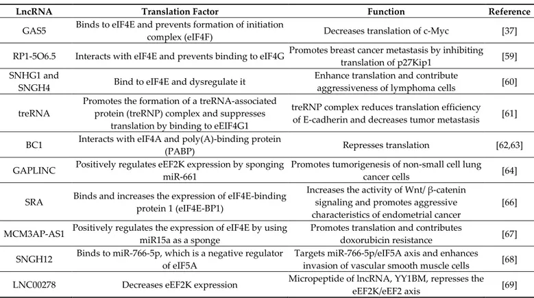 Table 1. The list of long non-coding RNAs (lncRNAs) involved in regulation of translational factors [37,59–69]