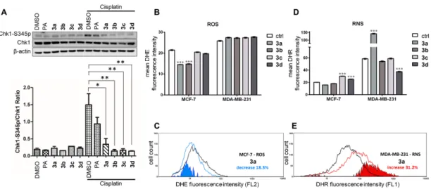 Figure 3. Effect of compounds 3a–d on the DNA damage response and redox balance in breast cancer cells