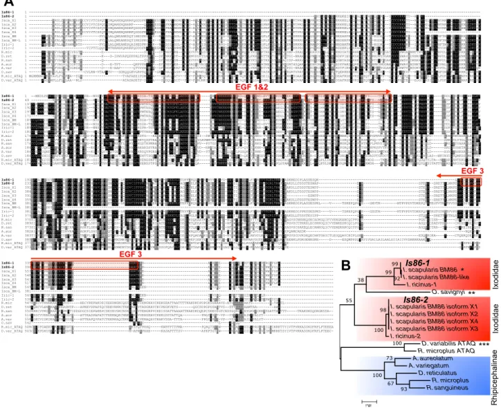 Figure 1.  Multiple sequence alignment and phylogeny of Bm86 orthologs. (A) Alignment of orthologous Bm86  protein sequences in hard and soft ticks generated in Clustal Omega and BoxShade (https ://www.ch.embne  t.org/softw are/BOX_form.html)