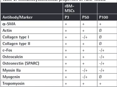 Table 2. Immunocytochemical properties of rBM-MSCs. rBM- MSCs Antibody/Marker P3 P50 P100 α-SMA  + + + Actin + + Ø Collagen type I + -/+ Ø Collagen type II + + Ø c-Fos + + -/+ Osteocalcin + + -/+ Osteonectin (SPARC) + + -/+ Myosin IIa + -/+ -/+ Myogenin + 
