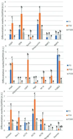 Figure  4. Telomerase activity assessment of cultured rat bone  marrow mesenchymal stem cells