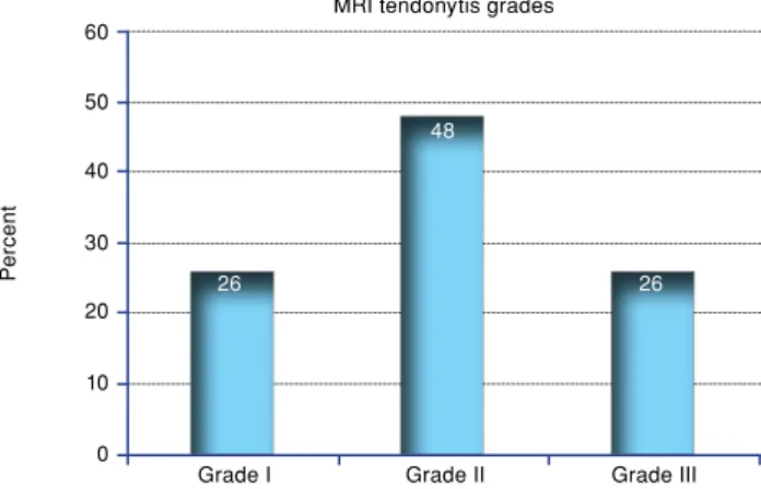 Figure 1. Grades of patellar tendinopathies according to  magnetic resonance imaging.