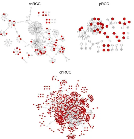 Figure 1. Differential interactome networks reconstructed with differential protein – protein inter- inter-actions (dPPIs) around differentially interacting proteins (DIPs) in three Renal Cell Carcinoma  RCC subtypes