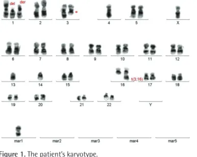 Figure 1. The patient’s karyotype. 