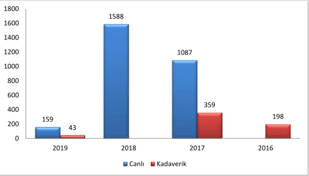 Şekil 1.2. 2016 - 2019 yılları arasında gerçekleştirilen karaciğer nakil istatistikleri 