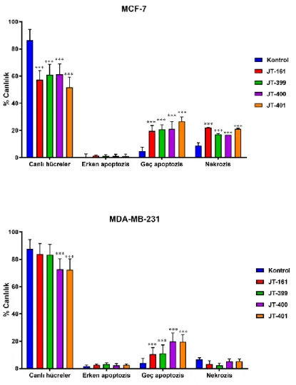 Şekil  9.  Protoflavon  bazlı  hibrid  bileşikler  ile  hücre  ölümü  indüksiyonu.  MCF-7  ve  MDA- MDA-MB-231 hücreleri, her bileşiğin 500 nM'si ile muamele edildi
