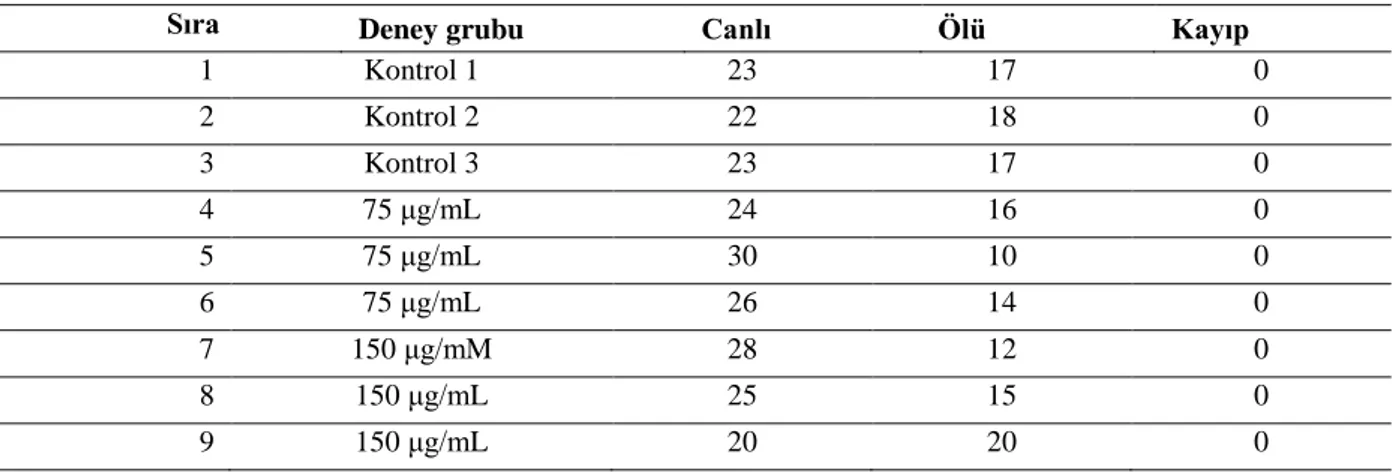 Tablo 1. Avokado ekstresinin C.elegans termotoleransı üzerindeki etkisine yönelik araştırmadan elde edilen ham  veriler  1  Kontrol 1  23  17  0  2  Kontrol 2  22  18  0  3  Kontrol 3  23  17  0  4  75 μg/mL  24  16  0  5  75 μg/mL  30  10  0  6  75 μg/mL 