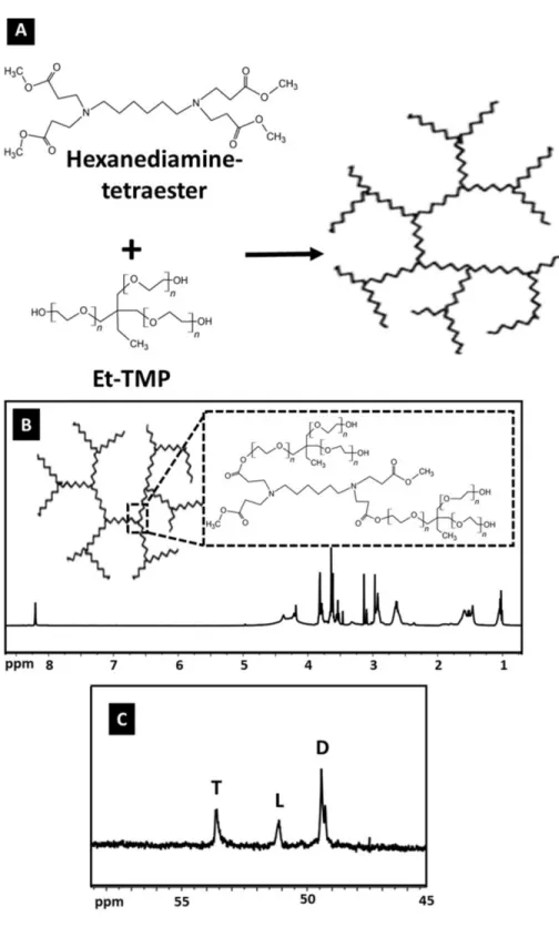 Figure 2. (A) The synthesis process of HPAE, (B) 1 H NMR of HPAE, and (C) internal structure of HPAE, 13 C NMR.