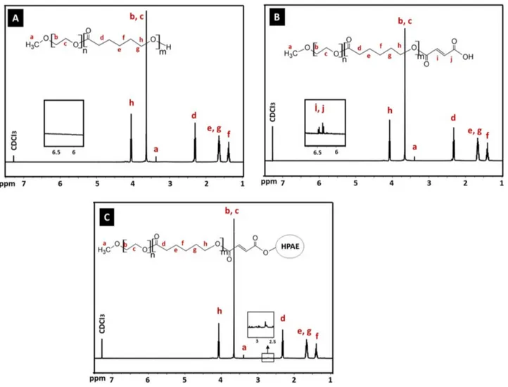 Figure 4. 1 H NMR of (A) MPEG- b -PCL, (B) MPEG- b -PCL-COOH, and (C) HPAE-PCL- b -MPEG.