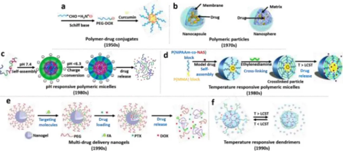 Figure 3. Schematic illustration of various potential approaches for triggered drug delivery using  polymer based nanoparticles
