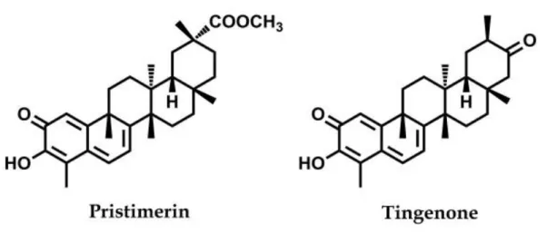 Şekil 1.9: Primisterin ve tingenon moleküler yapısı (Taddeo vd., 2019) 