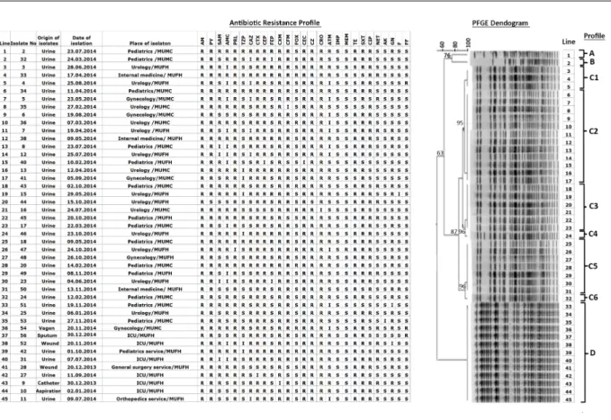Figure 1. Antibiotic Resistance Patterns and PFGE Profiles of ESBL-Producing E. coli Isolates at MUFH (Mevlana University Foundation Hospital) and MUMC (Mevlana University Medical Center)