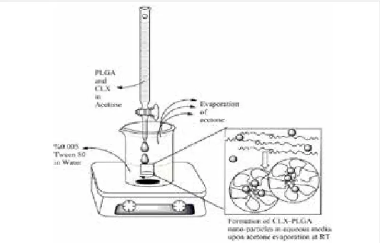 Figure 1. Preparation of CLX-PLGA nano-particles  CLX: Celecoxib, PLGA: Poly (lactic-co-glycolic acid)