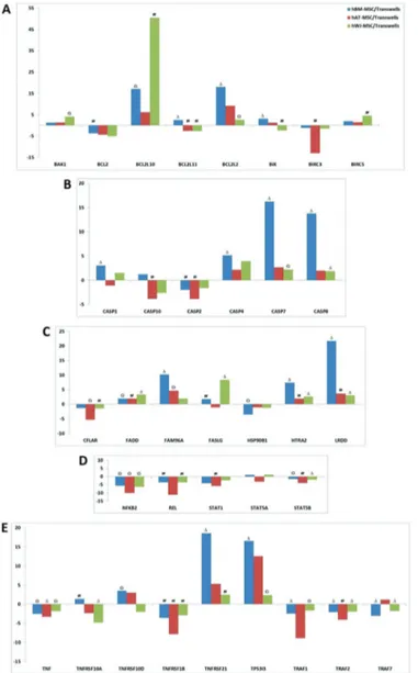 Figure 12. Estimation of apoptotic gene expressions in activated  T  cells  after  co-culture  with  human  bone  marrow-,  human  adipose tissue-, and human Wharton’s jelly-mesenchymal stem  cells (MSCs)