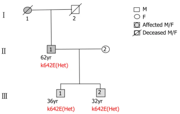 Figure 1  Pedigree of the family shows vertical transmission of KIT exon  13 c.1924A>G (p.Lys642Glu; p.K642E) mutation