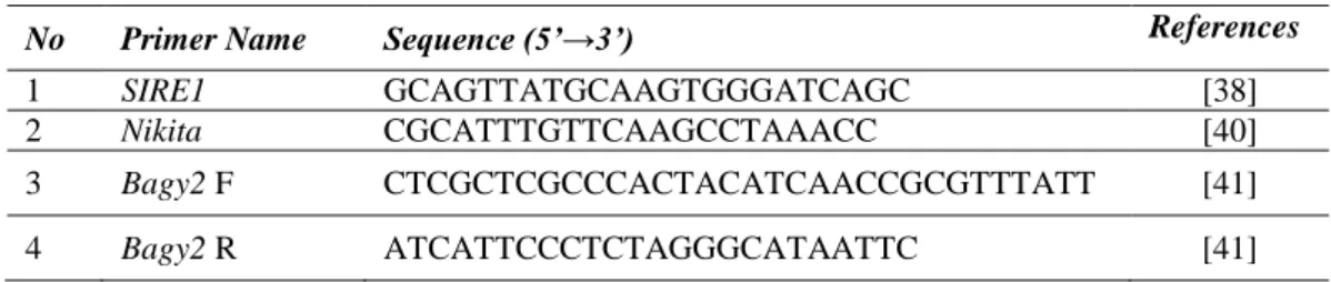 Fig 1 Demonstration of IRAP PCR products separated in 2% agarose gel.  A: SIRE1 results