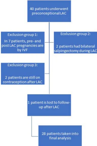 Fig. 1. A ﬂow chart of the study design.