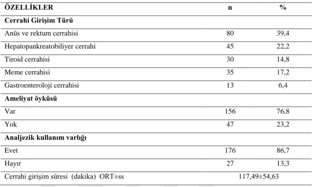 Tablo 3.2. Hastalara uygulanan cerrahi girişime ilişkin bilgilerin dağılımı (n=203)