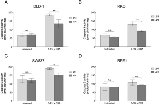 Figure 4. Caspase 3 activation assay in 2N and 4N cells upon treatment with FOLFOX. Quantification  of caspase3 activity as a surrogate marker of apoptosis in 2N and 4N clones of (A) DLD-1, (B) RKO,  (C) SW837 and (D) RPE1 cell lines in both non-treated an