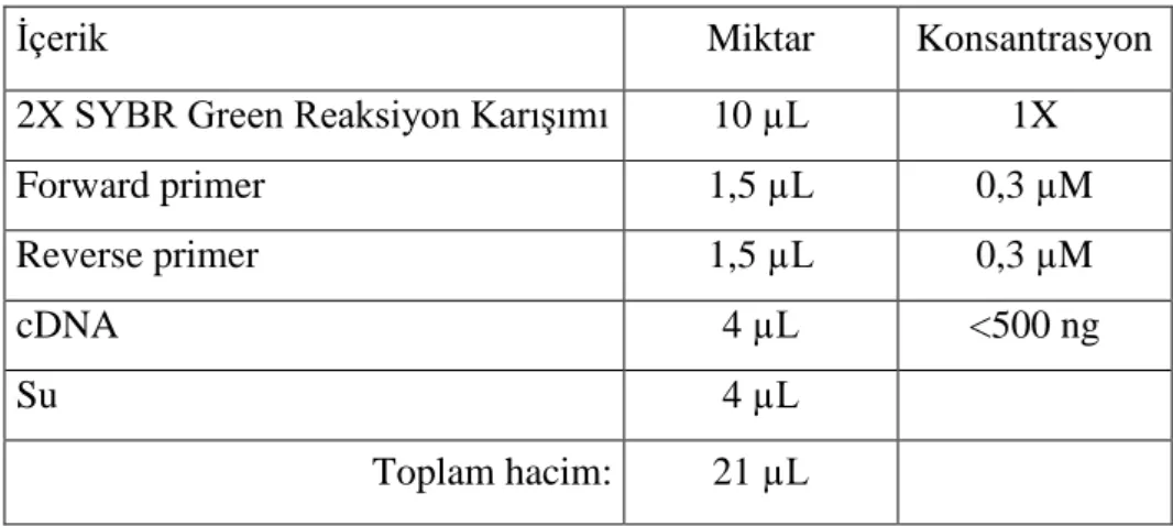 Tablo 3.5.: qPCR reaksiyon bileşenleri 