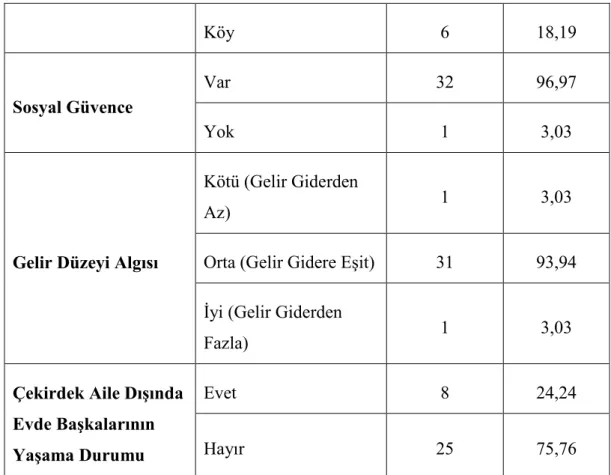 Tablo 4.2: Annelerin Maternal Özellikleri 