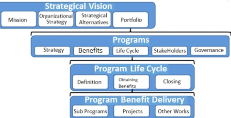 Figure 5. The Relationship Between Program Structures and Strategical Goals 46