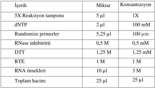 Tablo 3. cDNA sentezindeki aşamalar 