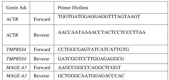 Tablo 4. Primer dizimleri 